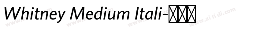 Whitney Medium Itali字体转换 Whitney Medium Itali字体转换